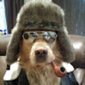 Meet your Posher, Billy